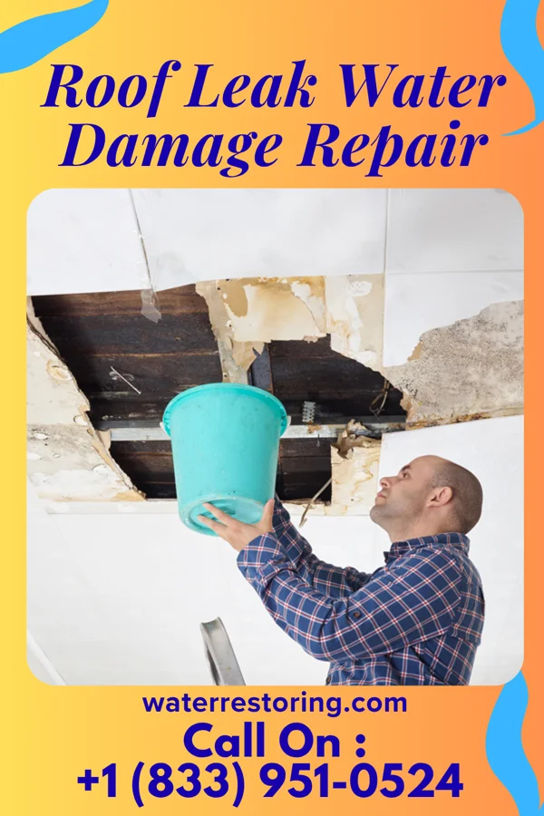 Roof Leak Water Damage Repair in Ashkum, IL