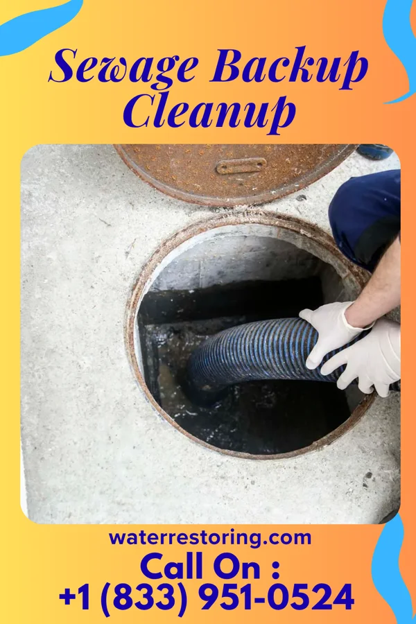 Sewage Backup Cleanup in Ashkum, IL