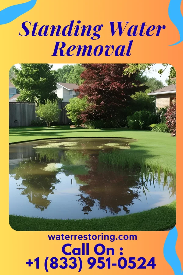 Standing Water Removal in Ashkum, IL
